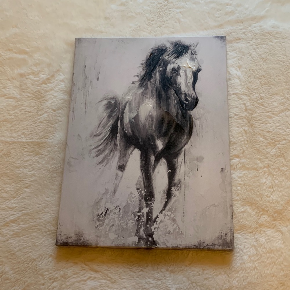 Black & White Painted Horse Wall Art